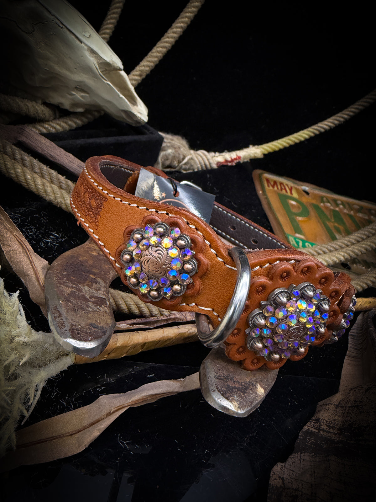 AR Dog Tack | Amber Shine | Western Collar | Size S