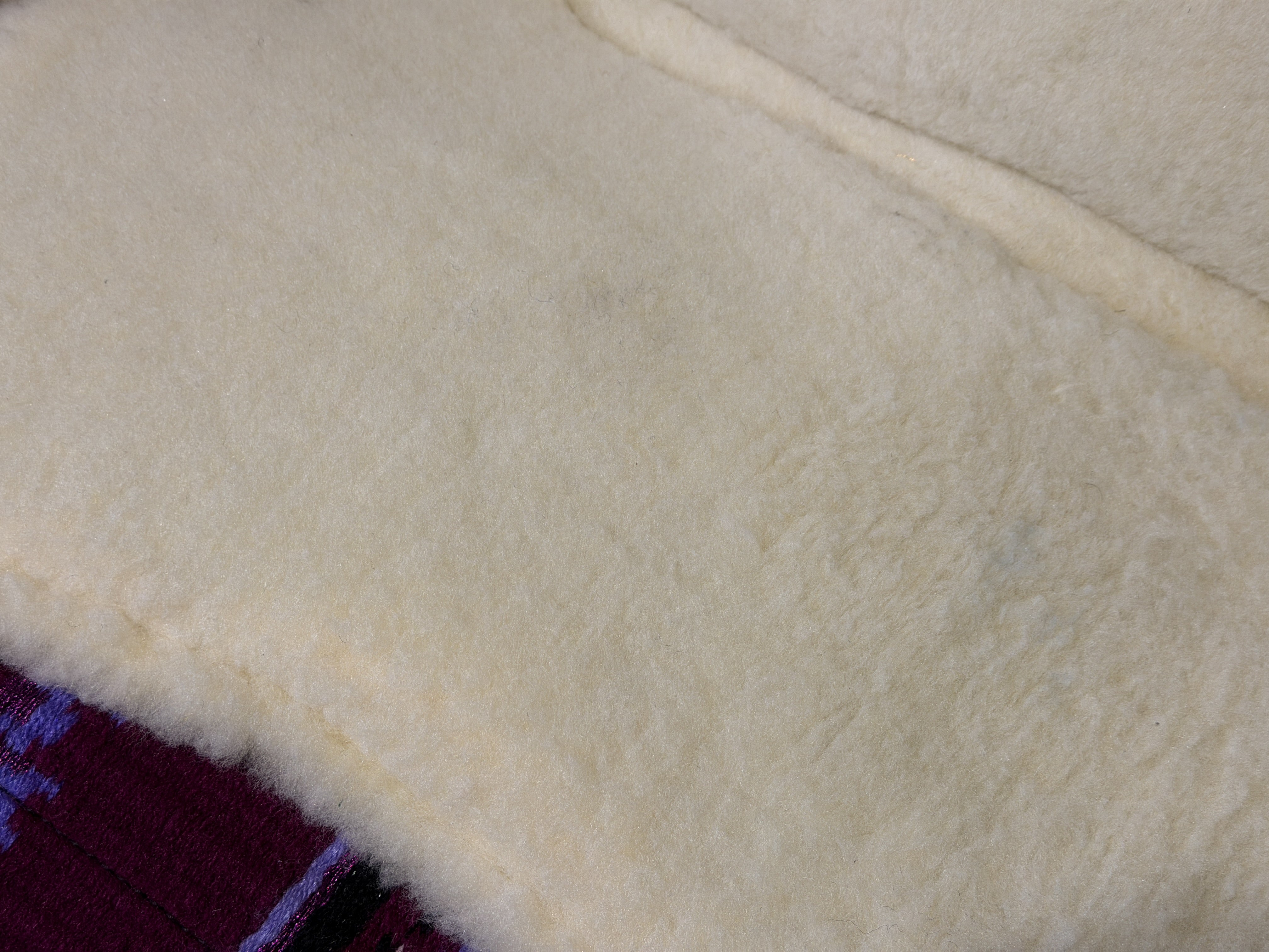 2in1 Show | contoured western pad | Midnight Plum
