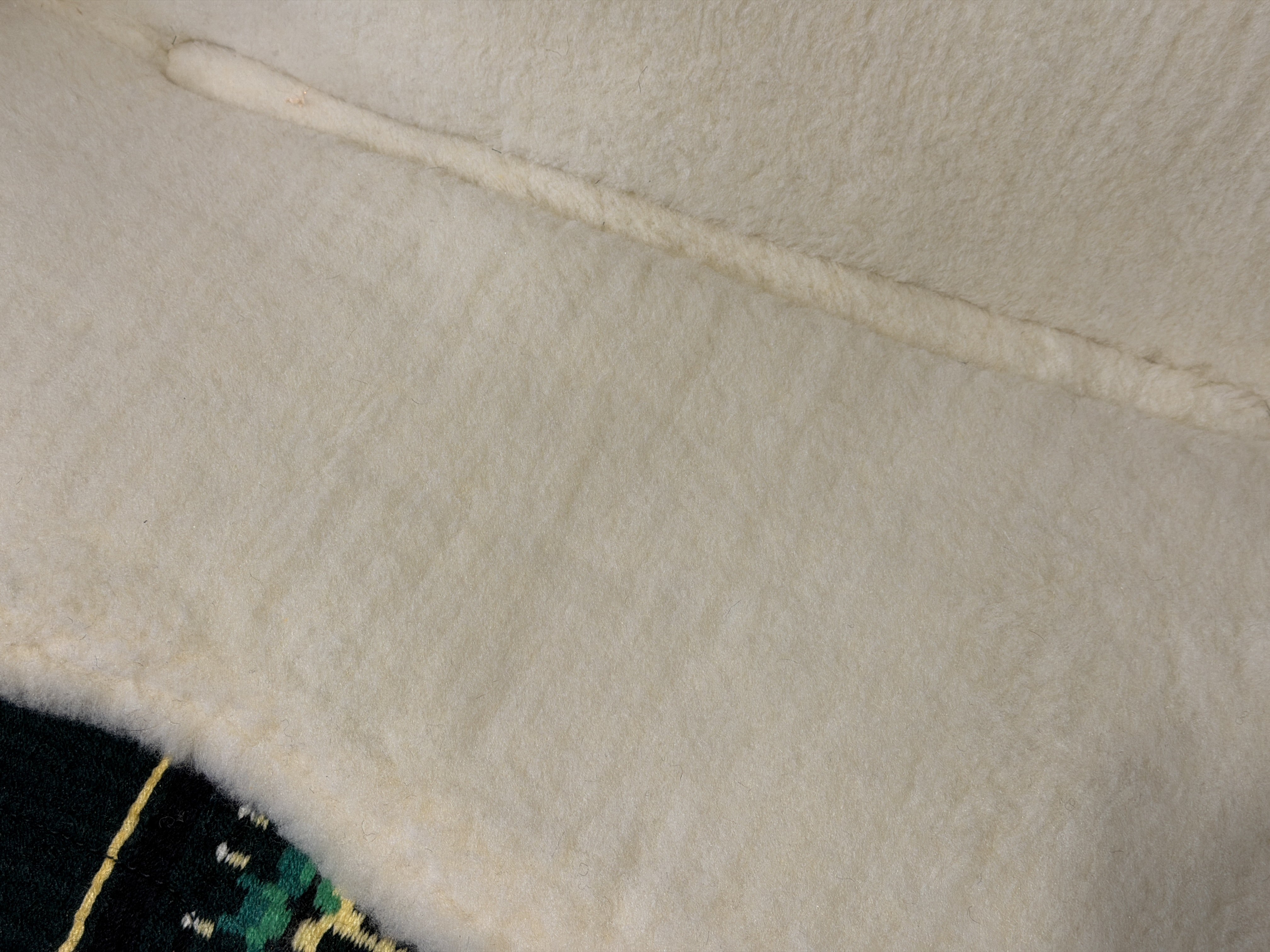 2in1 Show pad | Show Western | Emerald Gold