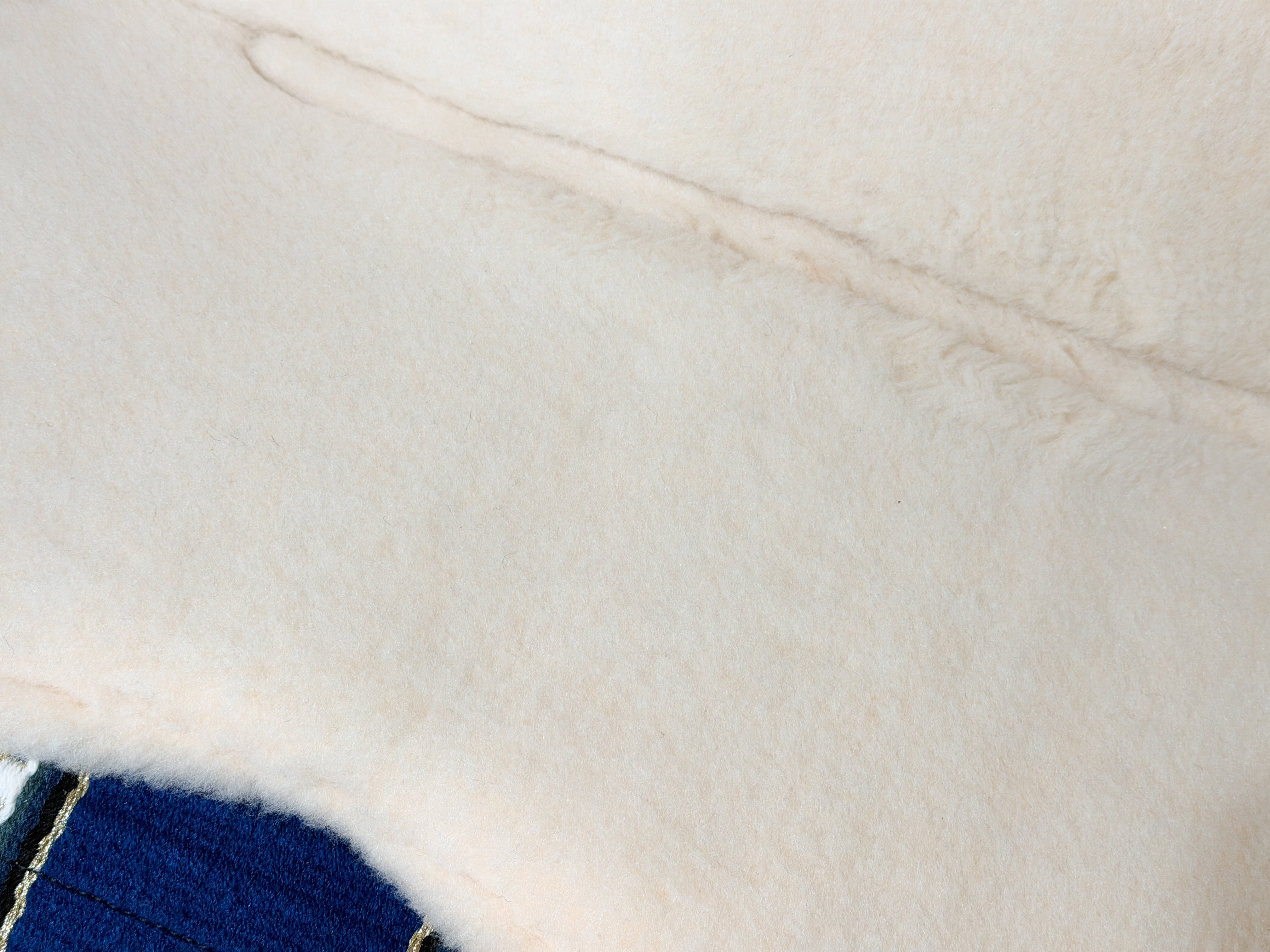2in1 Show | contoured western pad | River Sage