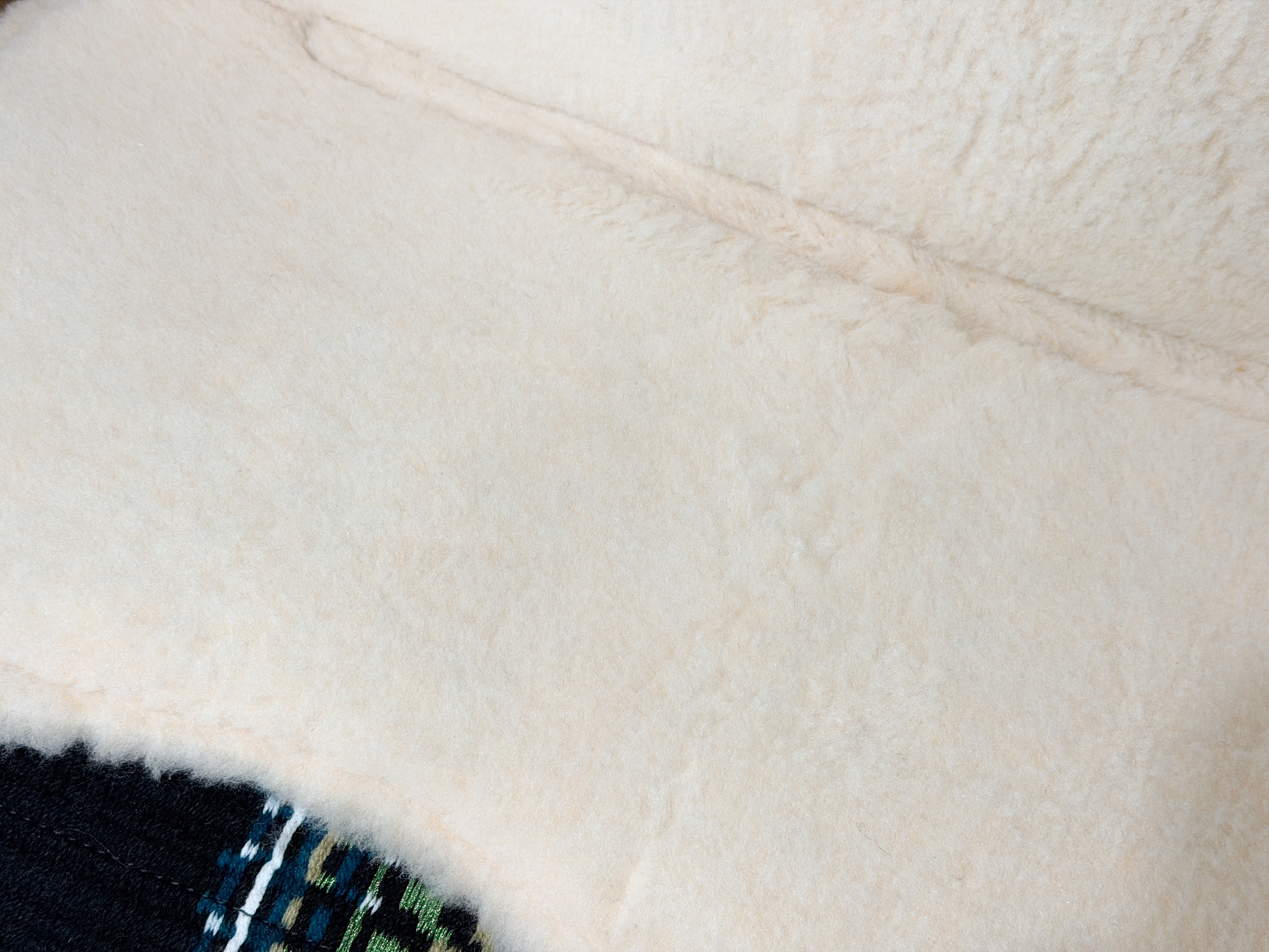 2in1 Show | contoured western pad | Night Fern