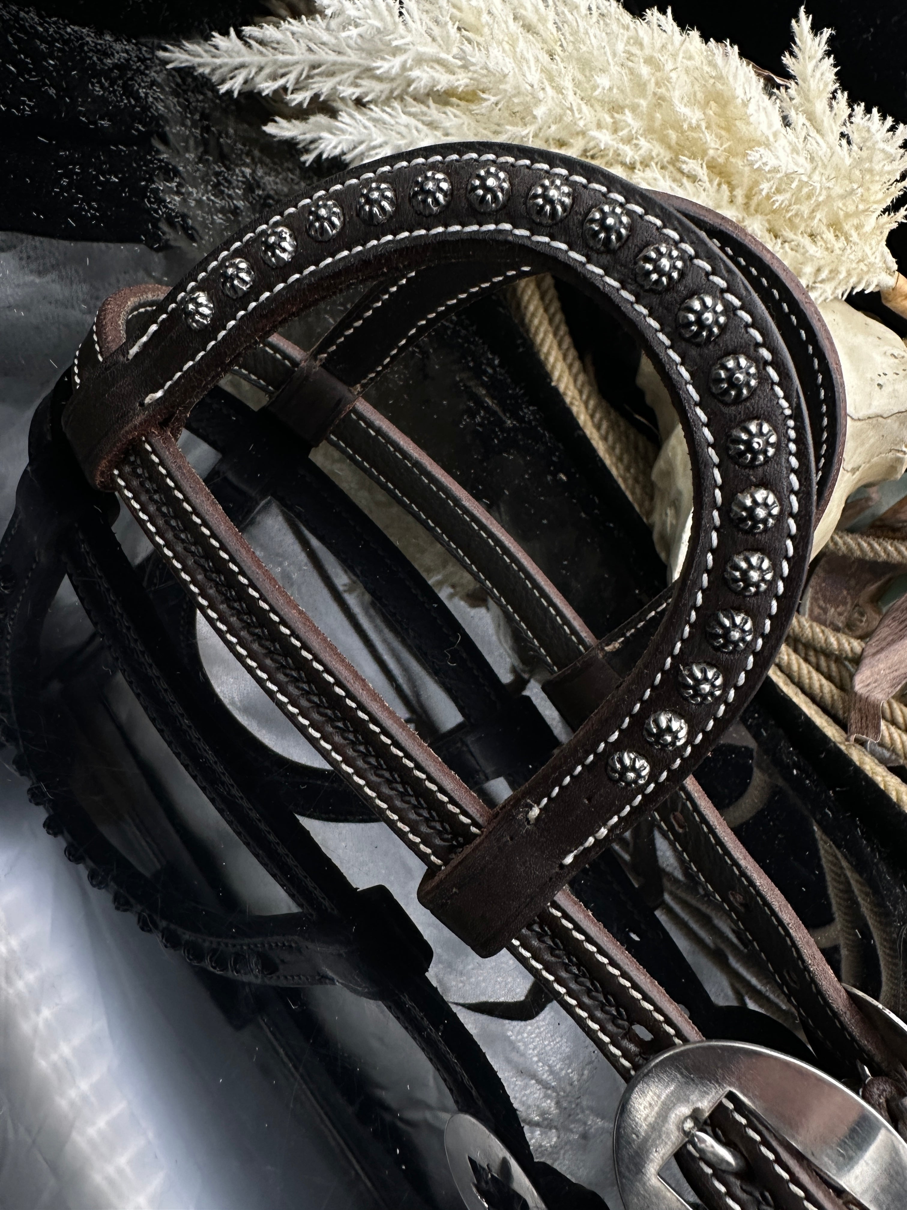 Basic | Dark brown | Cowhide stud western bridle