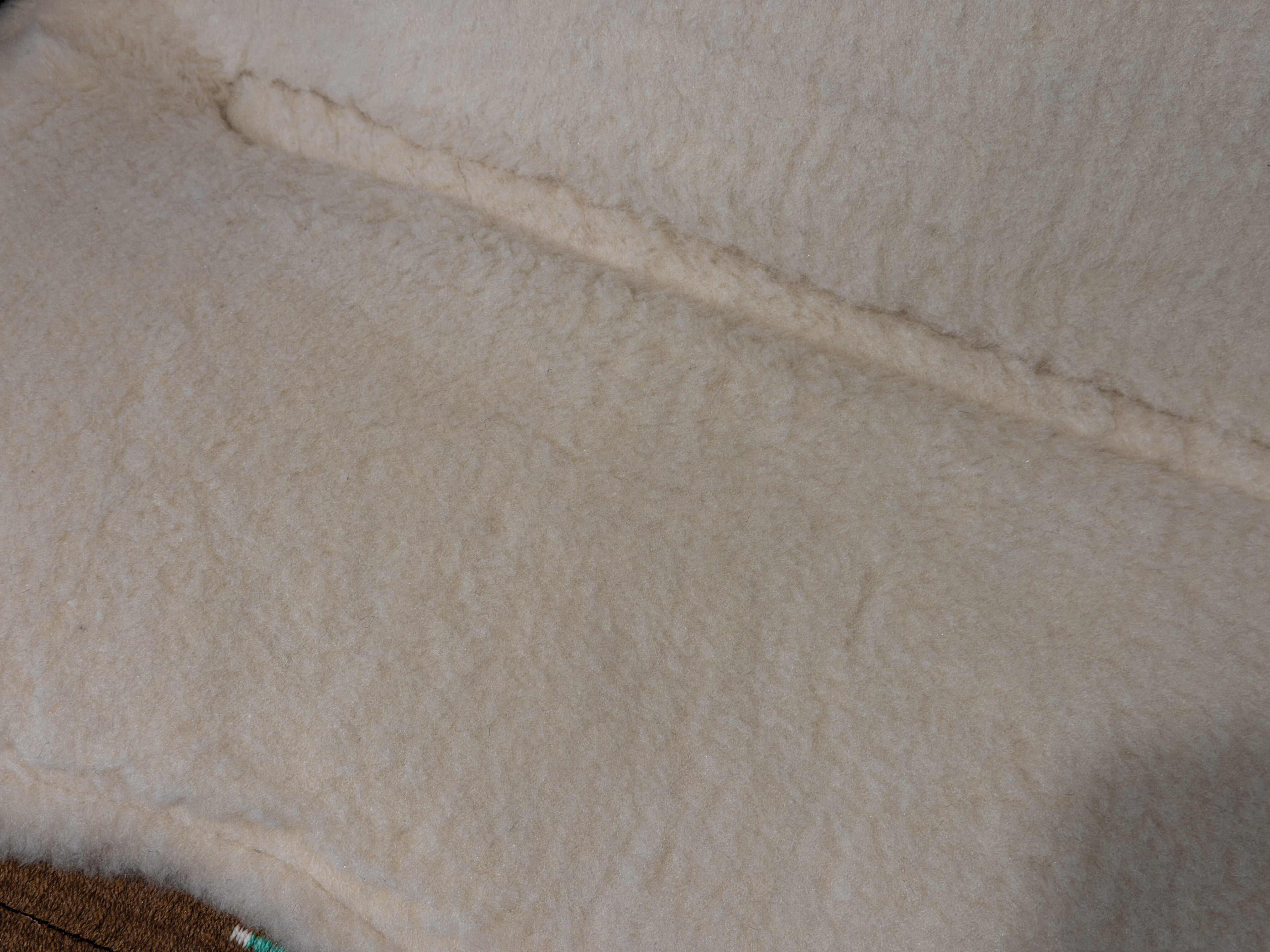 2in1 Show pad | Western Show | Turquoise Trail