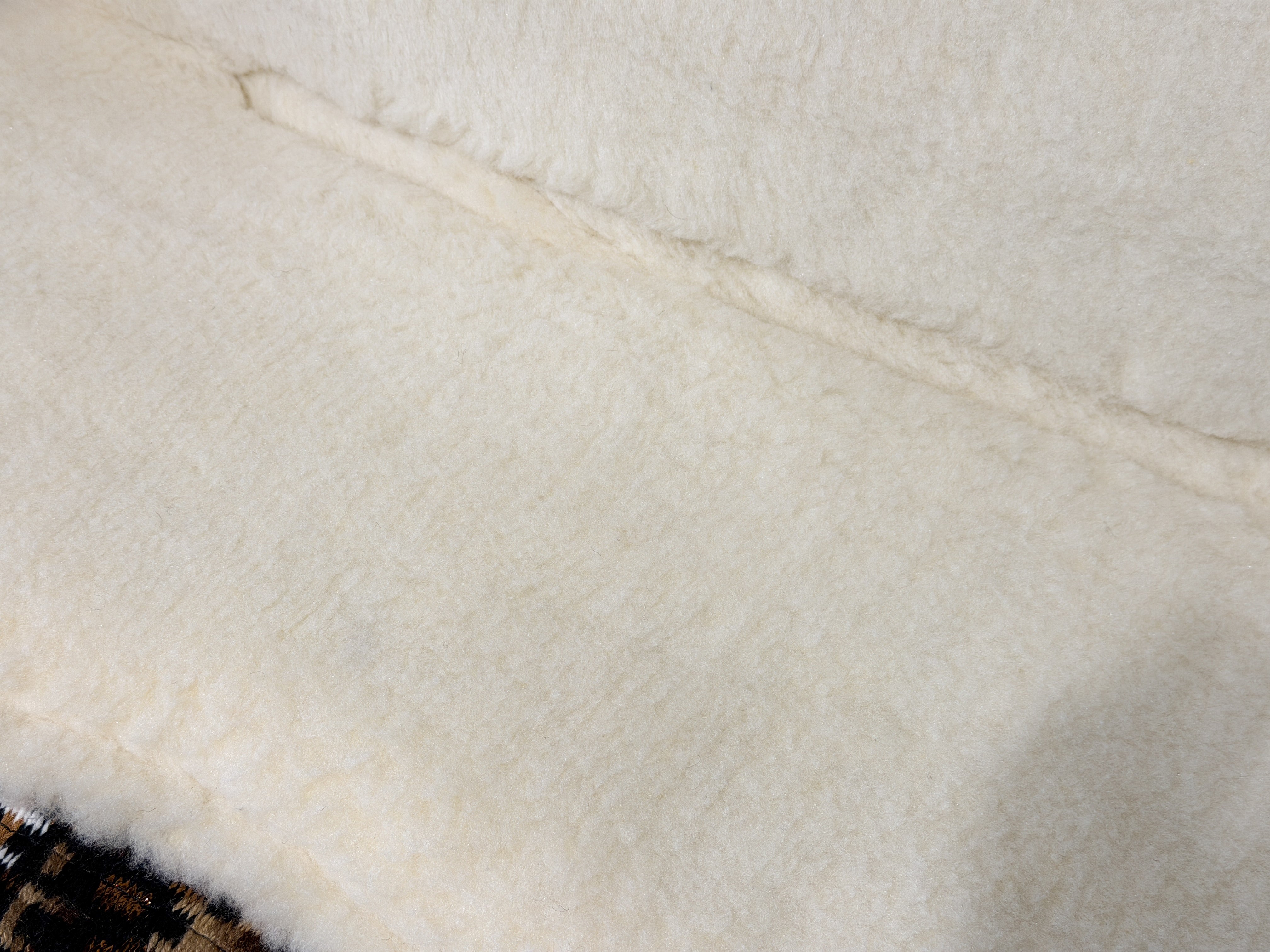 2in1 Show Pad | SHORT | contoured western pad | Goldrush