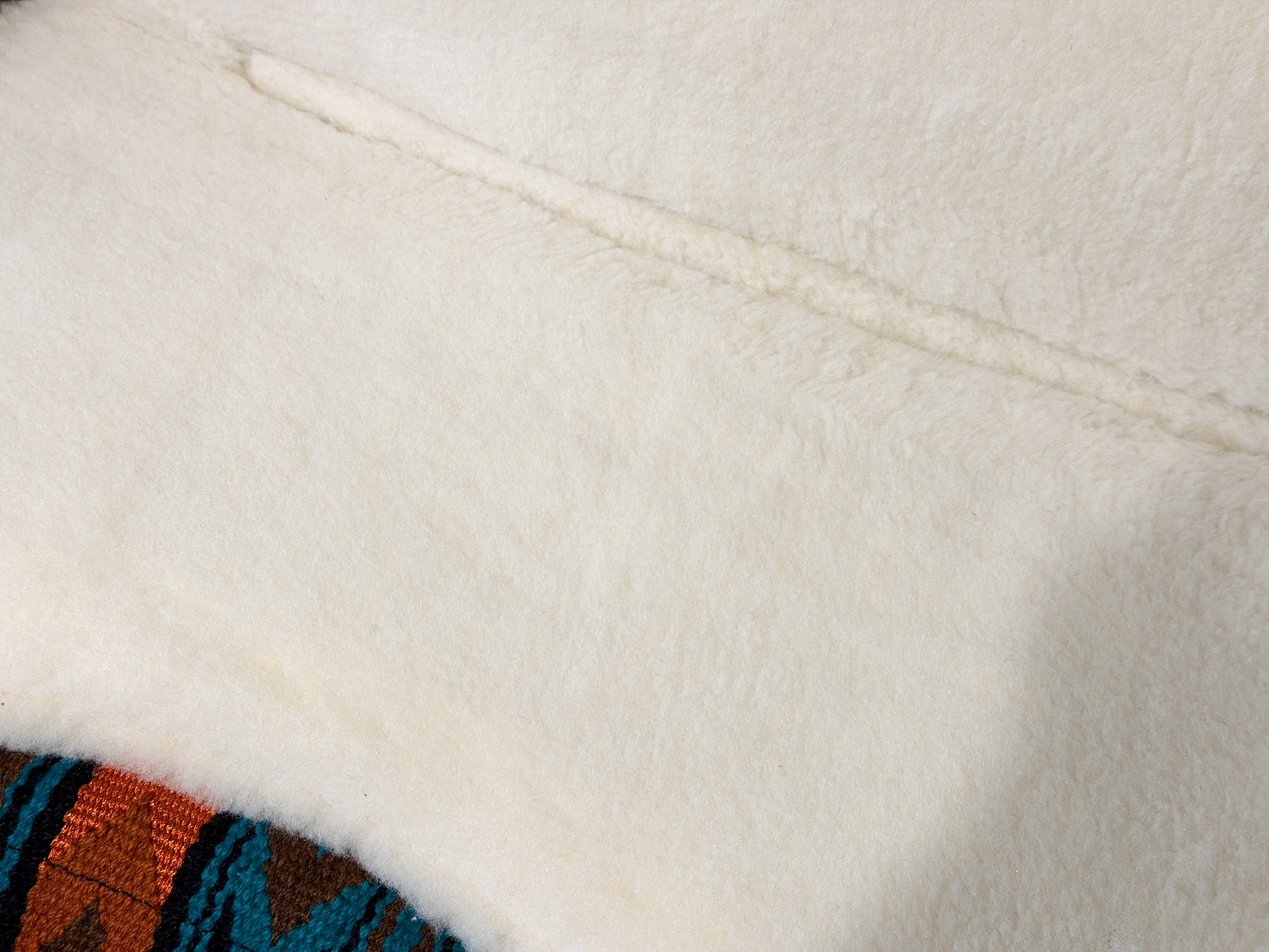 2in1 Show | contoured western pad | Shoreline