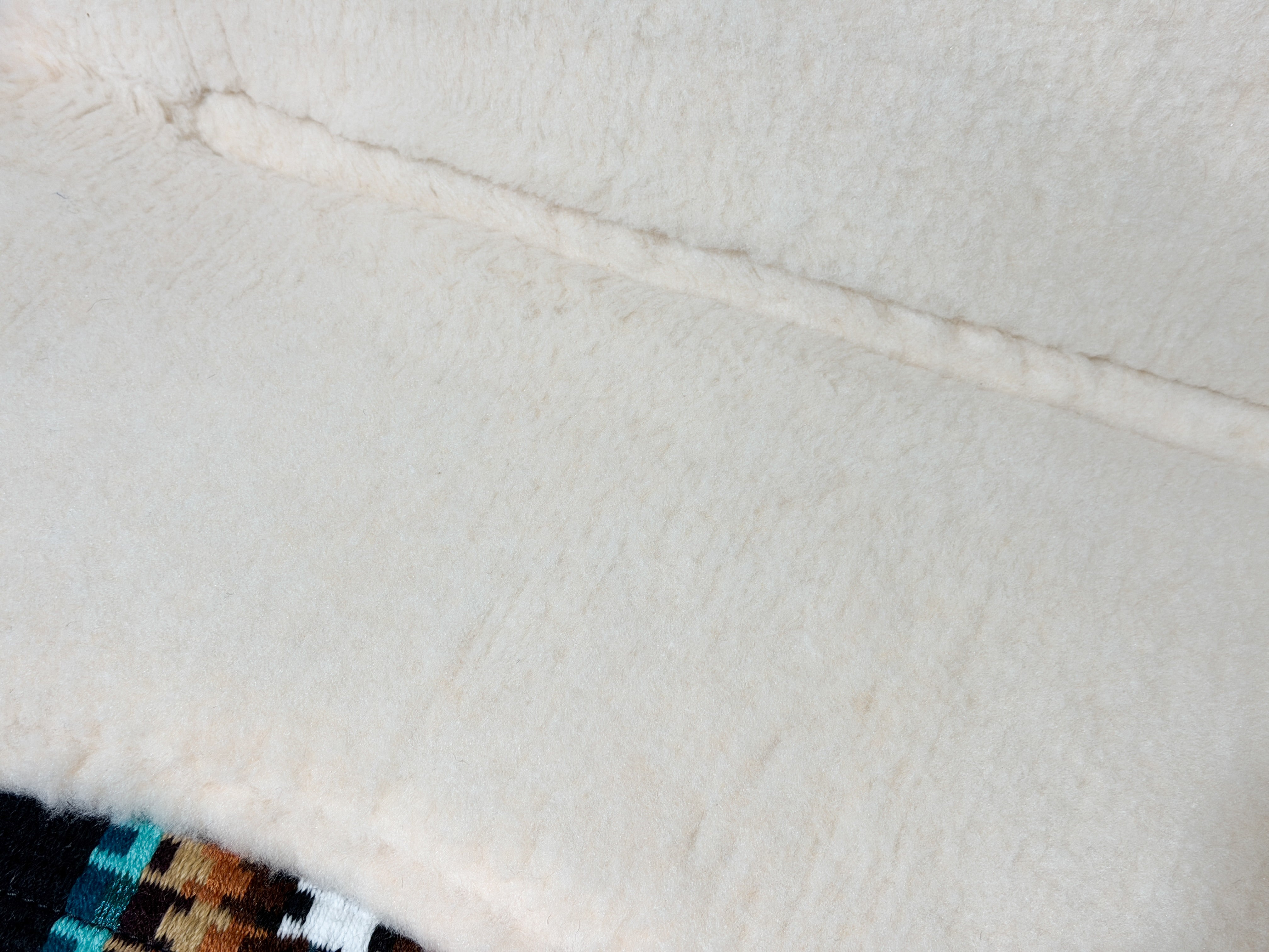 2in1 Show | contoured western pad | Maverick Teal