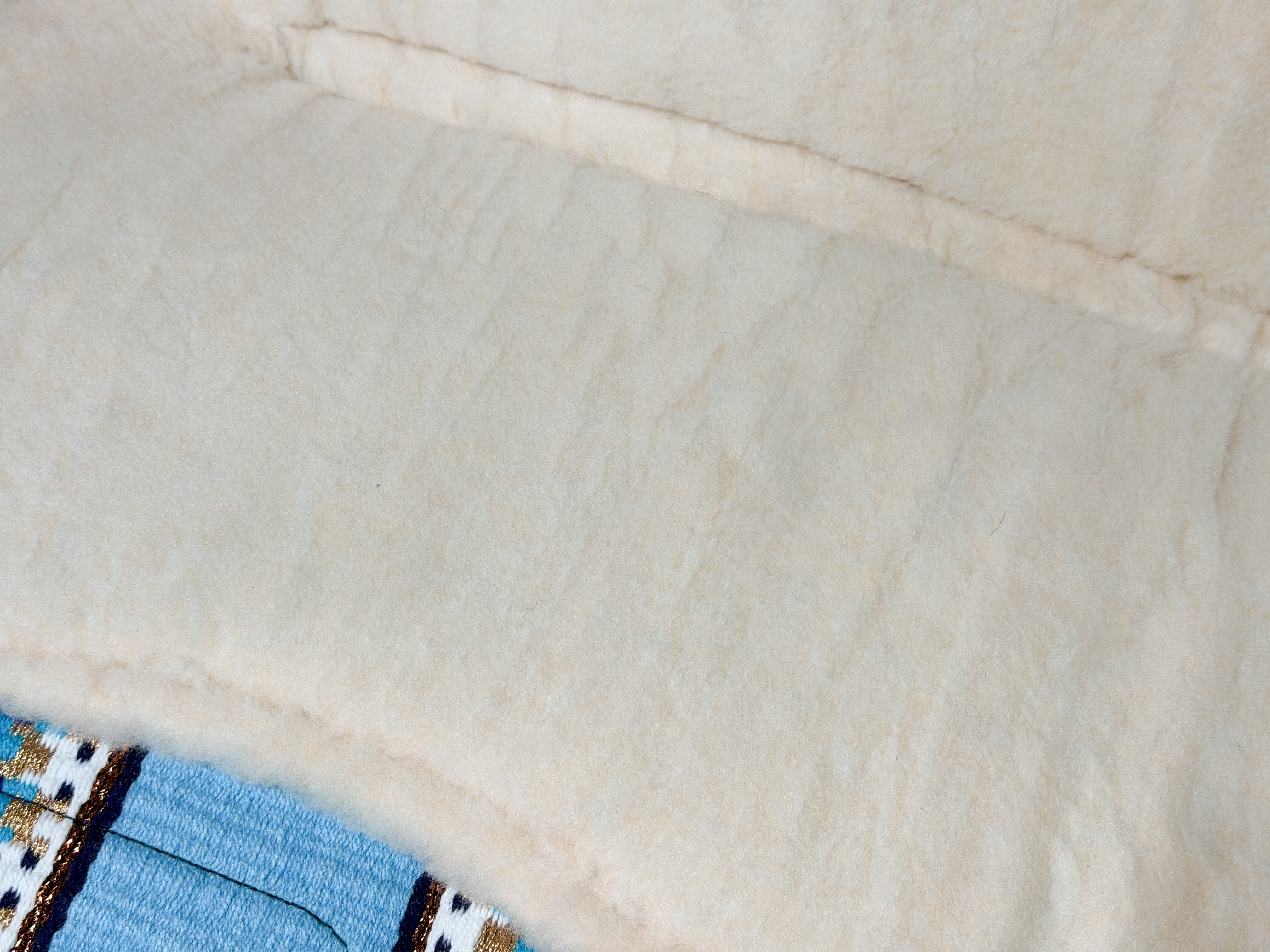 2in1 Show | contoured western pad | Sky Rider